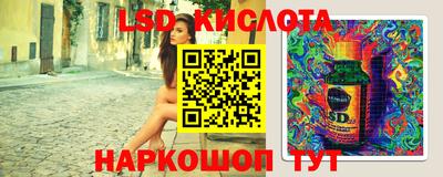 винт Сланцы