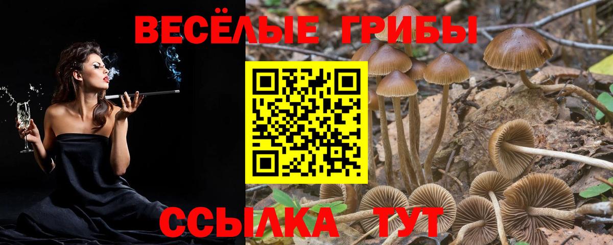Псилоцибиновые грибы прущие грибы  Вход с VPN  Оренбург 